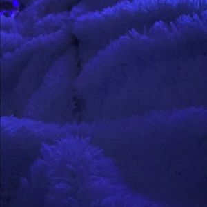 Meet your Posher, Luz celeste